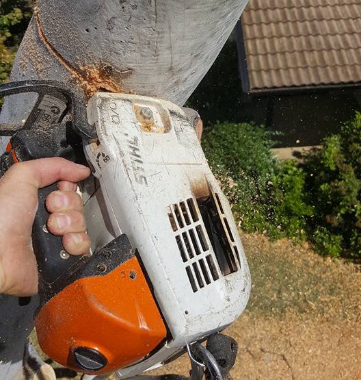 chainsaw-tree-removals-Canberra